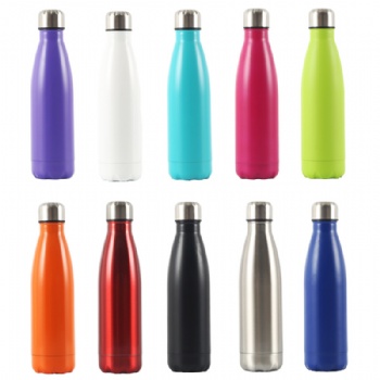Stainless Steel Thermos Bottle 18 Oz.