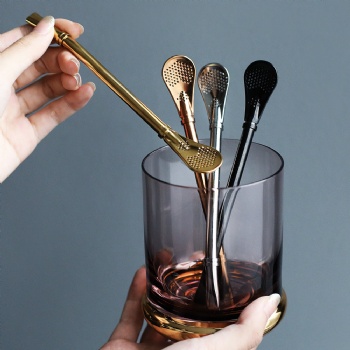 Stainless Steel Drinking Straws with Filter Spoon